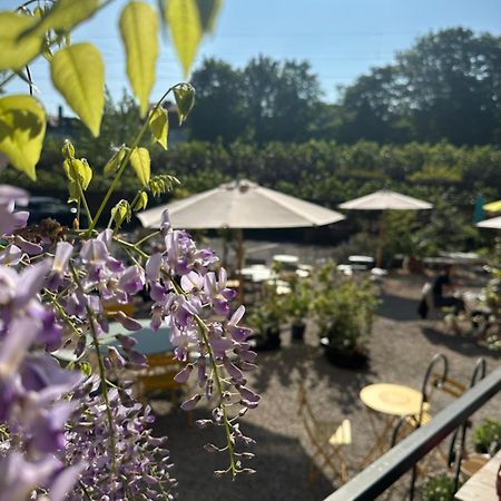 Ferienwohnungen Im Hof68 뮌스터 외부 사진
