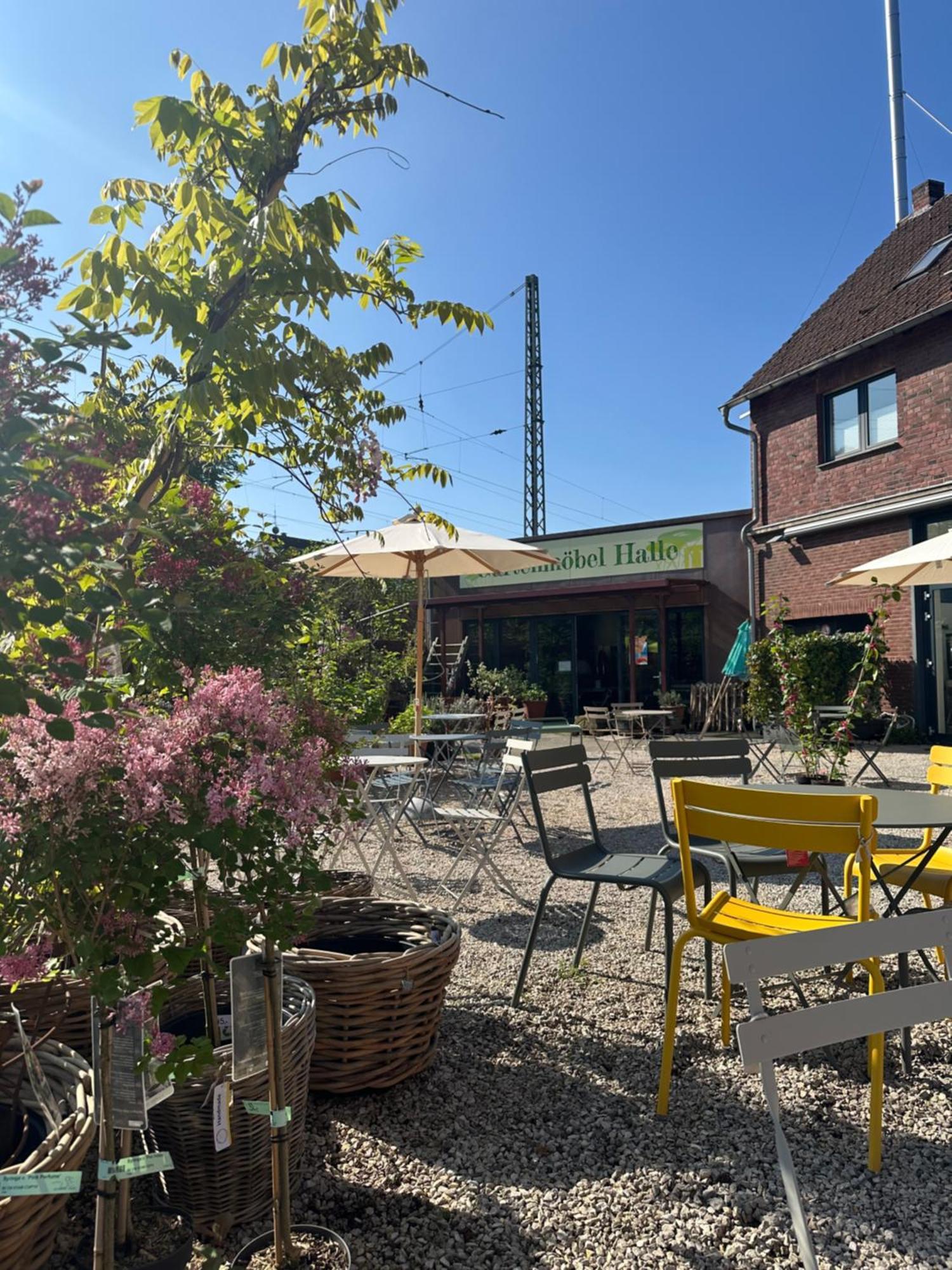 Ferienwohnungen Im Hof68 뮌스터 외부 사진